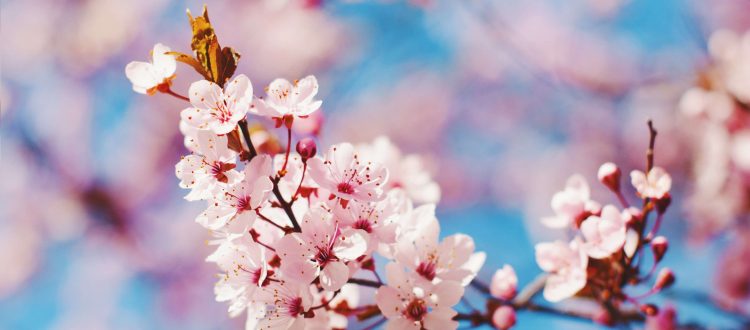 4 Ways to Update Your Look For Spring