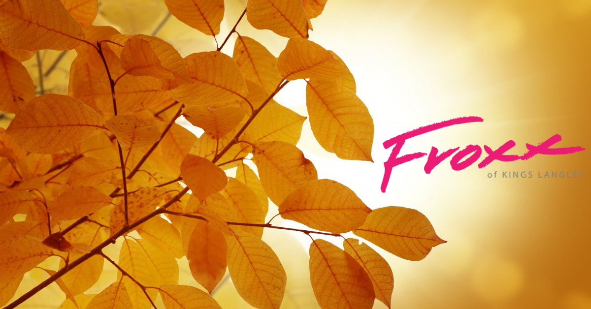 How to Upgrade Your Look for Spring & Summer