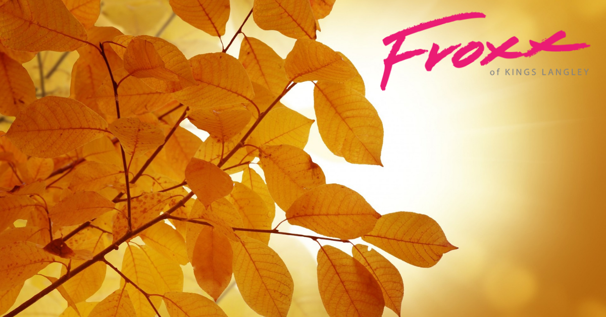 Top Ways To Dress To Boost Your Confidence