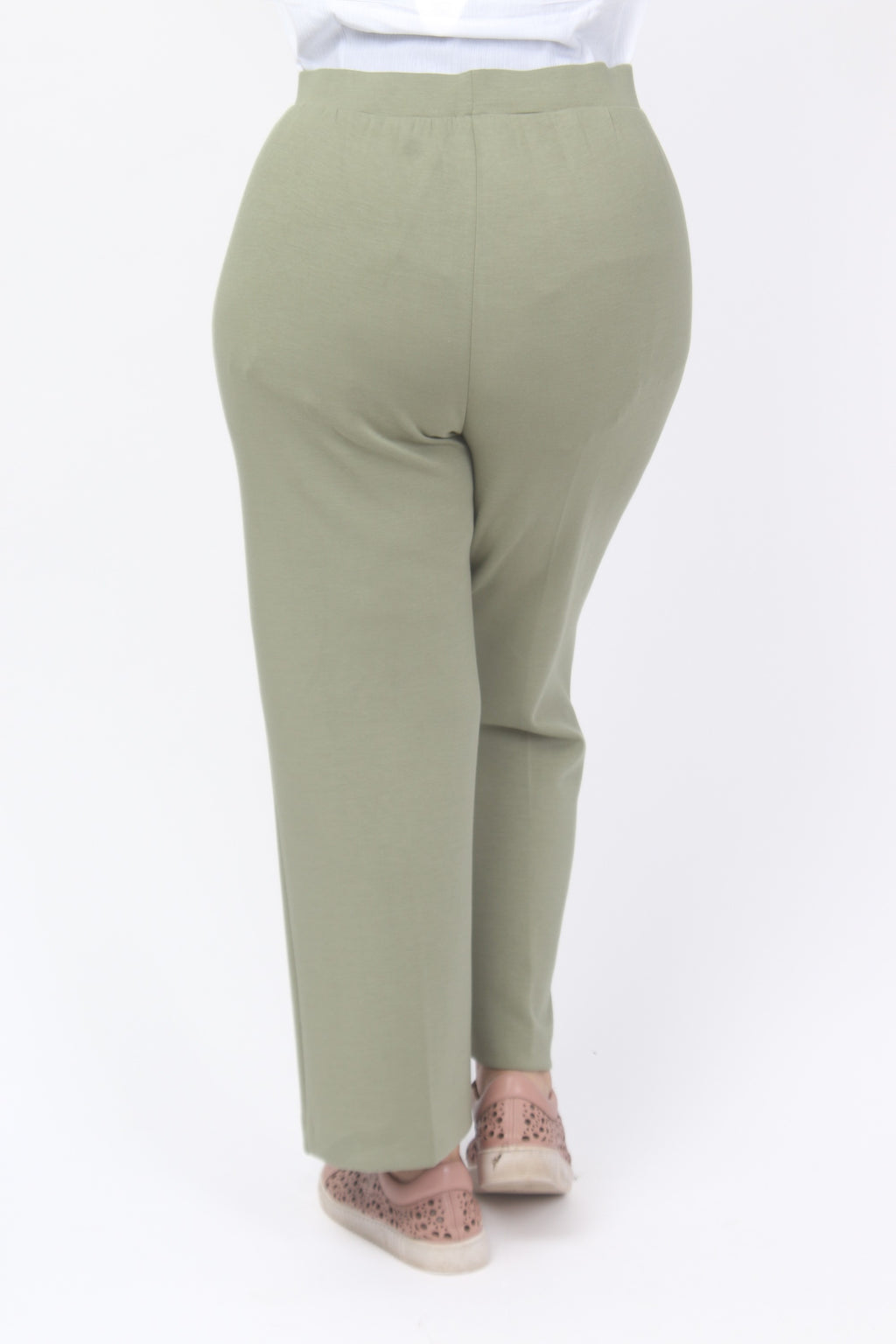 Via Appia leisure crops - Olive