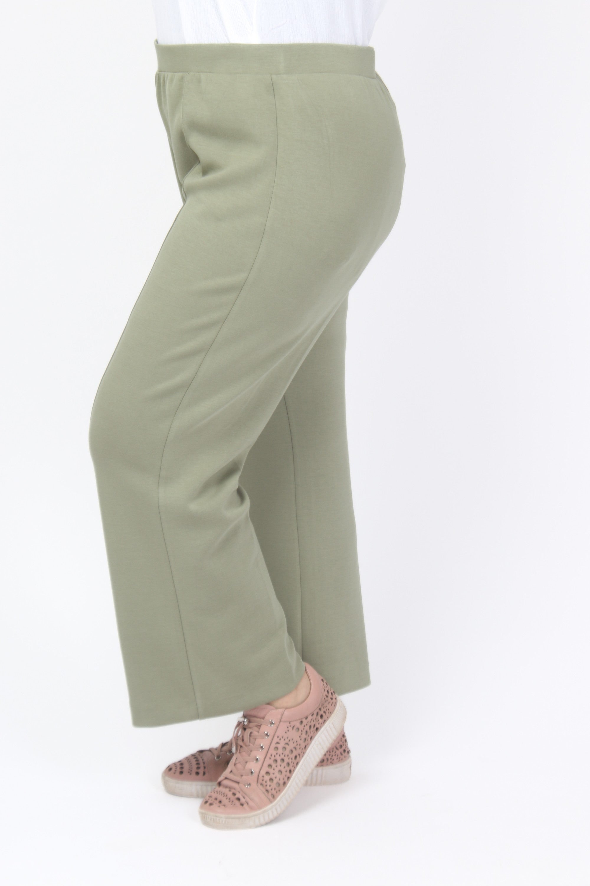 Via Appia leisure crops - Olive